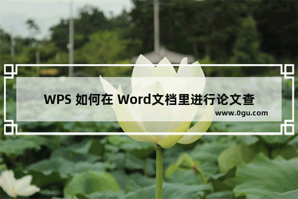 WPS 如何在 Word文档里进行论文查重