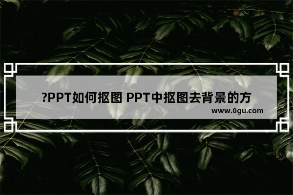 ?PPT如何抠图 PPT中抠图去背景的方法教程