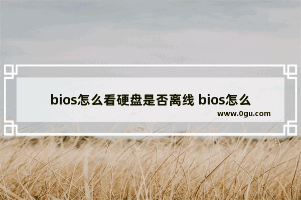 bios怎么看硬盘是否离线 bios怎么看硬盘是否离线启动