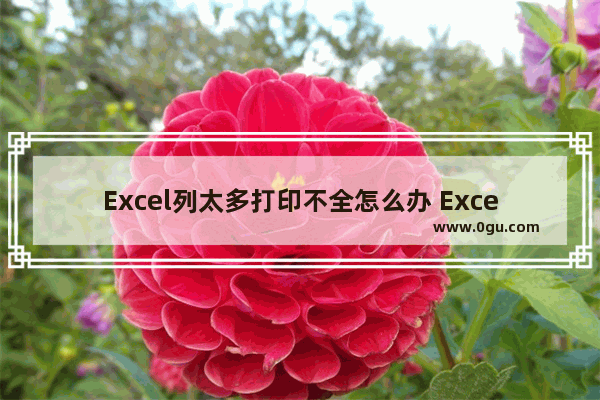 Excel列太多打印不全怎么办 Excel列太多打印不全的解决方法