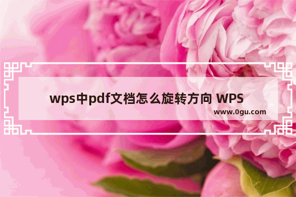 wps中pdf文档怎么旋转方向 WPS PDF中设置旋转文档方向的方法