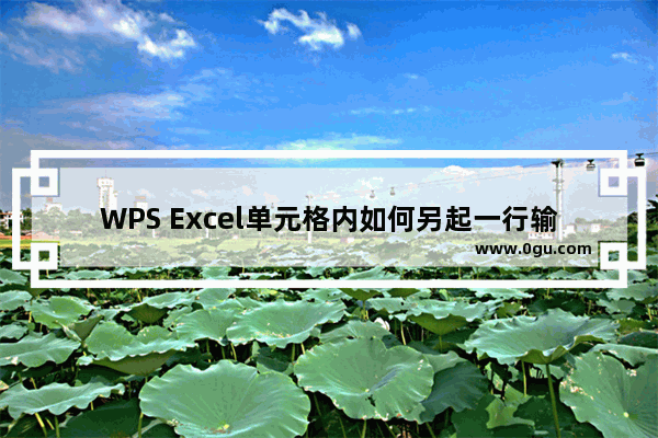 WPS Excel单元格内如何另起一行输入