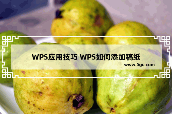 WPS应用技巧 WPS如何添加稿纸