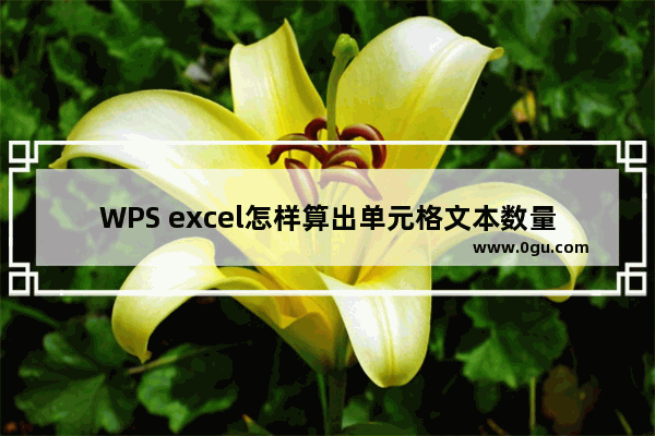 WPS excel怎样算出单元格文本数量