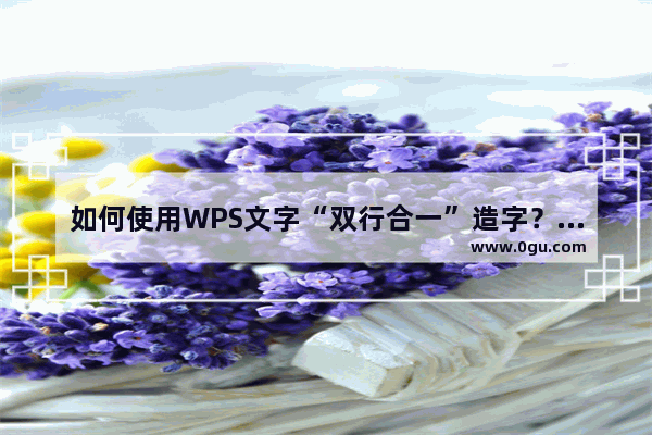 如何使用WPS文字“双行合一”造字？用WPS文字“双行合一”造字的方法教程