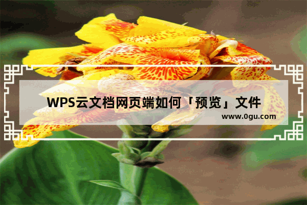 WPS云文档网页端如何「预览」文件