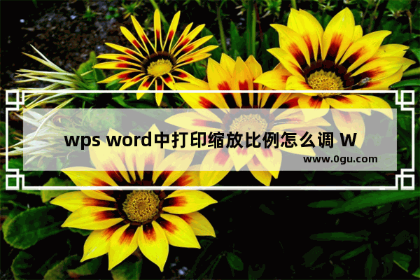 wps word中打印缩放比例怎么调 WPS Word修改打印缩放比例的方法