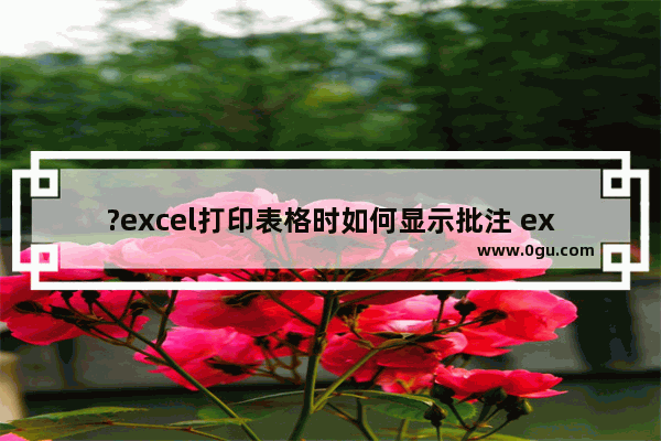 ?excel打印表格时如何显示批注 excel打印时显示批注的方法