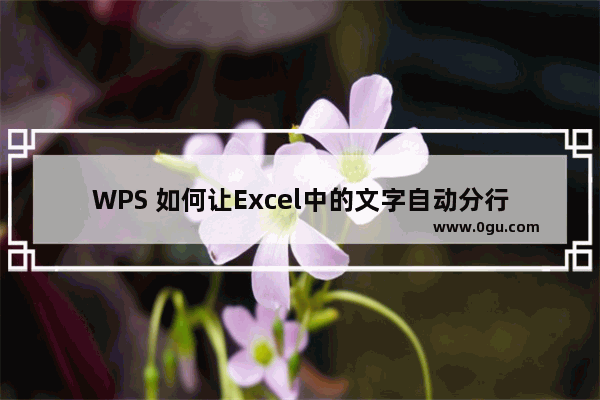 WPS 如何让Excel中的文字自动分行