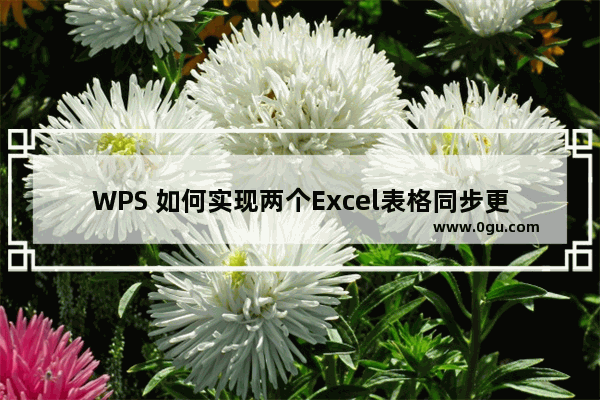 WPS 如何实现两个Excel表格同步更新 如何设置两个Excel表格数据同步呢？