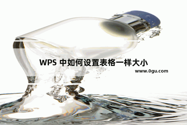 WPS 中如何设置表格一样大小