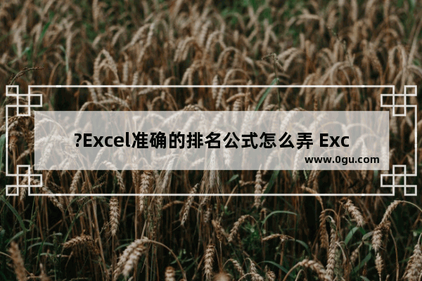 ?Excel准确的排名公式怎么弄 Excel表格计算排名的方法教程