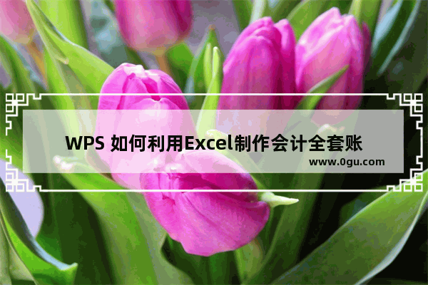 WPS 如何利用Excel制作会计全套账