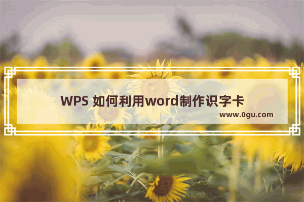 WPS 如何利用word制作识字卡