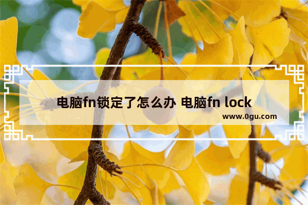 电脑fn锁定了怎么办 电脑fn lock