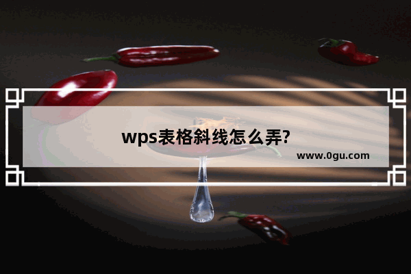 wps表格斜线怎么弄?