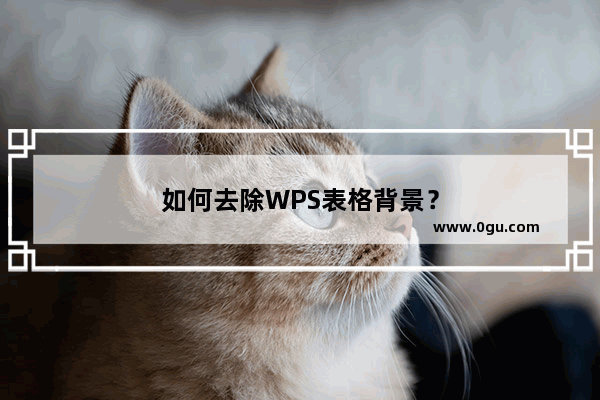 如何去除WPS表格背景？