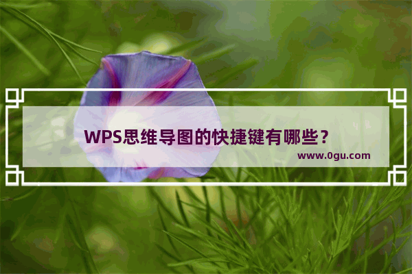 WPS思维导图的快捷键有哪些？