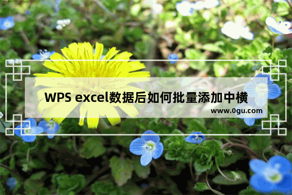 WPS excel数据后如何批量添加中横线的方法