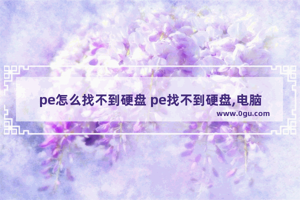 pe怎么找不到硬盘 pe找不到硬盘,电脑正常启动不了