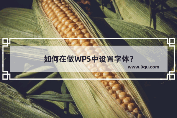 如何在做WPS中设置字体？