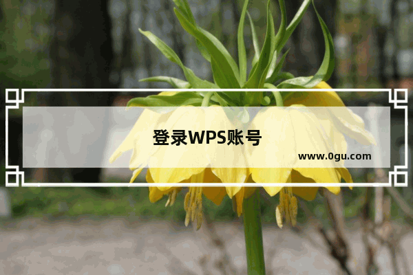 登录WPS账号