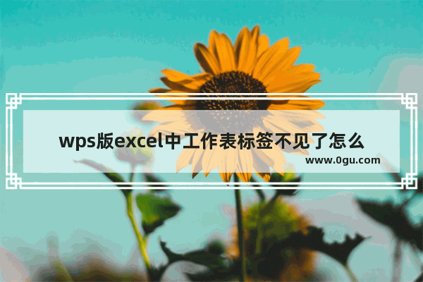 wps版excel中工作表标签不见了怎么调出来