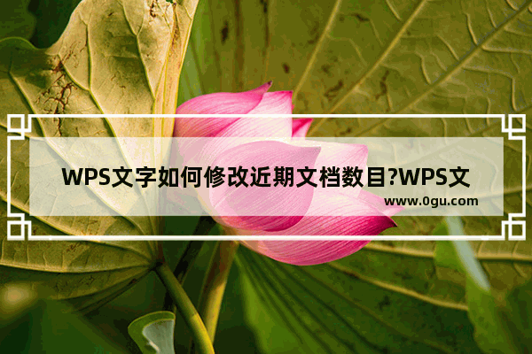 WPS文字如何修改近期文档数目?WPS文字修改近期文档数目的教程