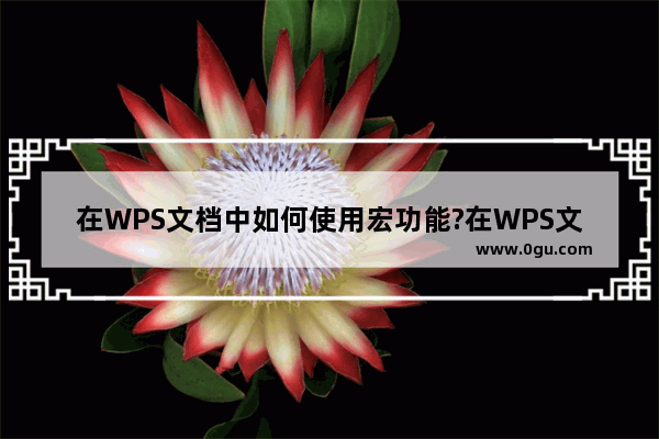 在WPS文档中如何使用宏功能?在WPS文档中宏功能的方法教程