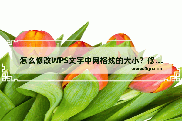 怎么修改WPS文字中网格线的大小？修改WPS文字中网格线大小的方法