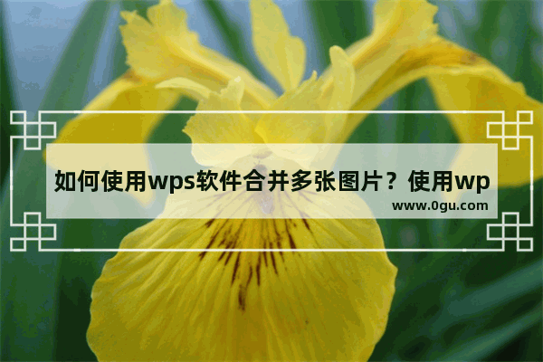 如何使用wps软件合并多张图片？使用wps软件合并多张图片的方法技巧