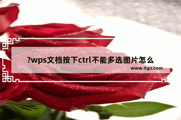 ?wps文档按下ctrl不能多选图片怎么办 wps选择窗格按下shift键无法全选的解决方法