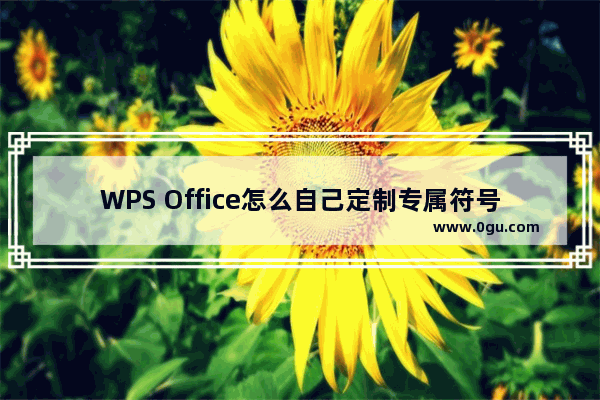 WPS Office怎么自己定制专属符号栏？WPS Office定制专属符号栏的方法