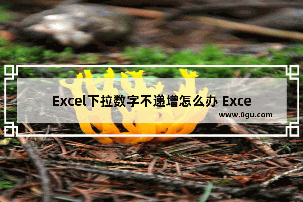 Excel下拉数字不递增怎么办 Excel下拉数字不递增的解决方法