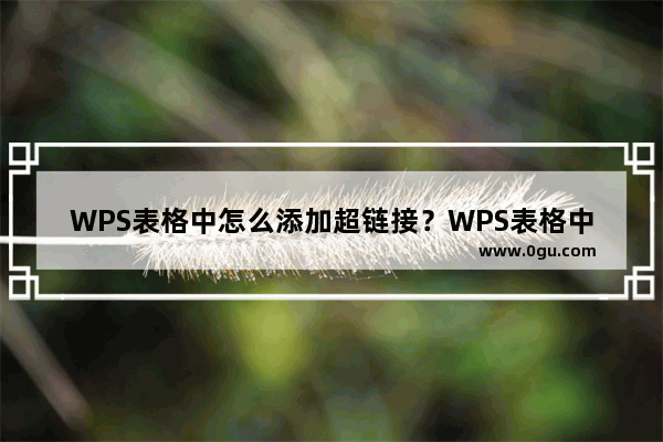 WPS表格中怎么添加超链接？WPS表格中添加超链接的方法步骤