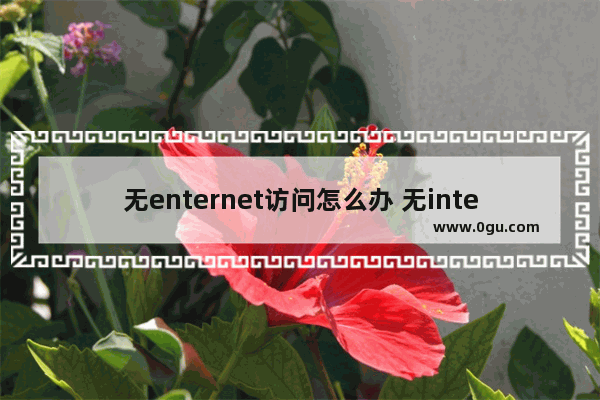 无enternet访问怎么办 无intetnet访问