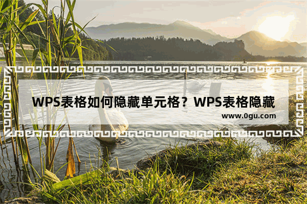 WPS表格如何隐藏单元格？WPS表格隐藏单元格方法教程