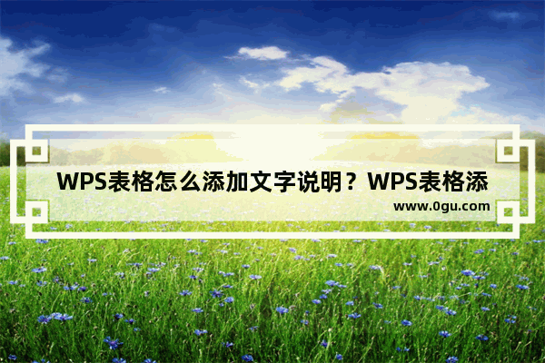 WPS表格怎么添加文字说明？WPS表格添加文字说明的方法技巧