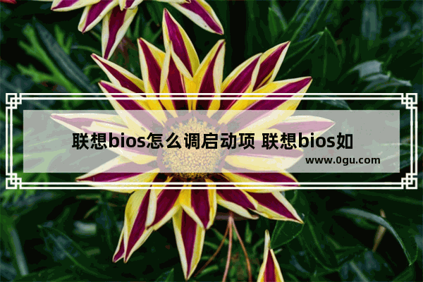 联想bios怎么调启动项 联想bios如何设置启动项