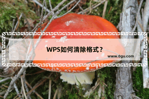 WPS如何清除格式？