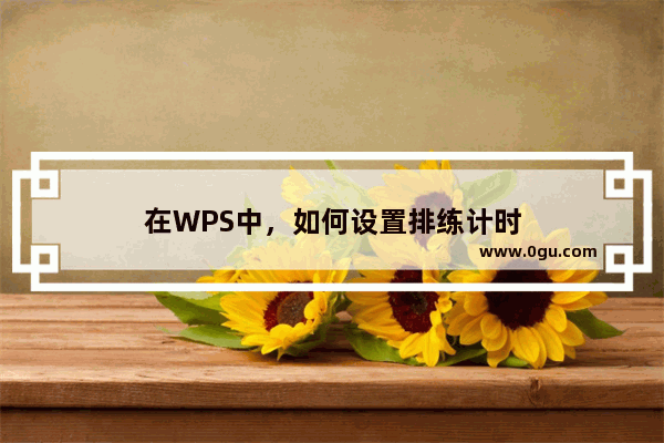 在WPS中，如何设置排练计时