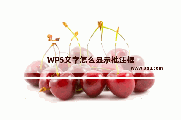 WPS文字怎么显示批注框