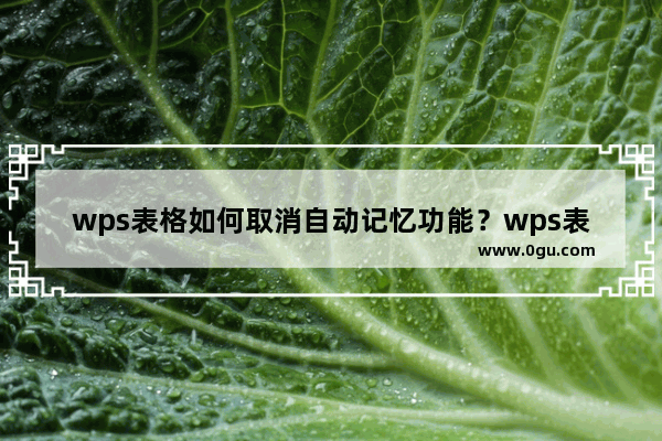 wps表格如何取消自动记忆功能？wps表格取消自动记忆功能的教程