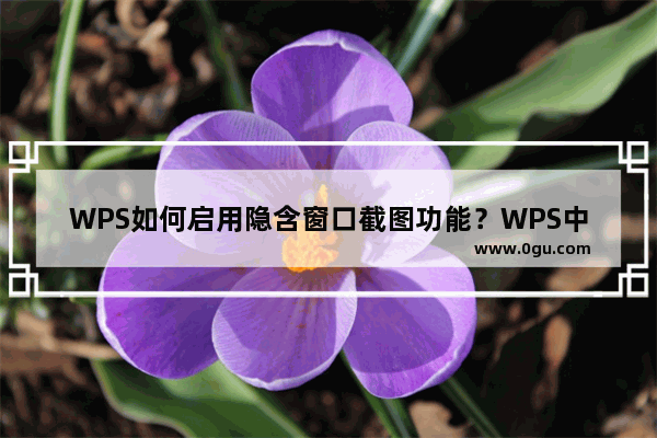 WPS如何启用隐含窗口截图功能？WPS中隐含窗口截图功能怎么使用？