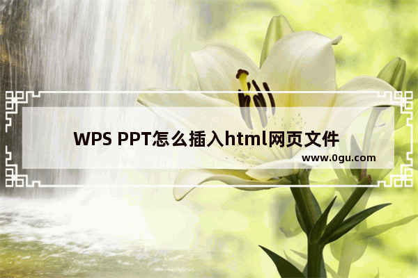 WPS PPT怎么插入html网页文件 WPS PPT嵌入html网页文件的方法