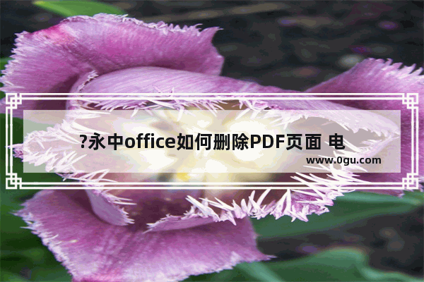 ?永中office如何删除PDF页面 电脑版永中office进行PDF删除页面的方法