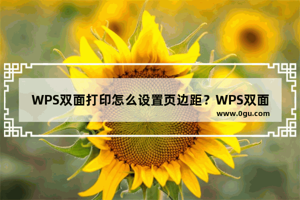 WPS双面打印怎么设置页边距？WPS双面打印设置页边距的技巧