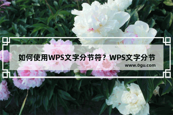 如何使用WPS文字分节符？WPS文字分节符怎么使用？