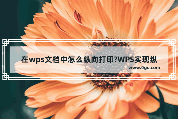 在wps文档中怎么纵向打印?WPS实现纵向打印的方法教程