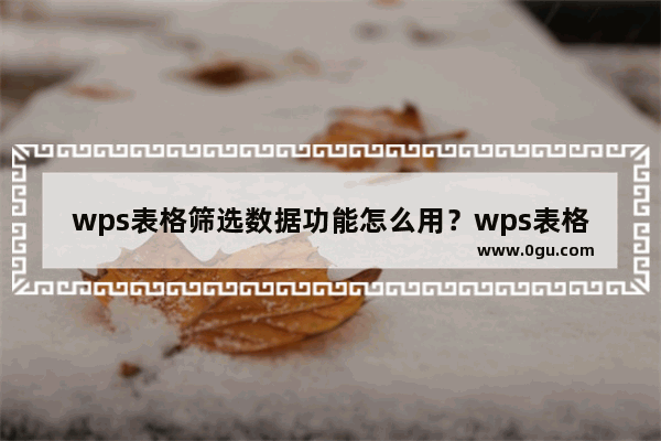 wps表格筛选数据功能怎么用？wps表格筛选数据功能的使用方法